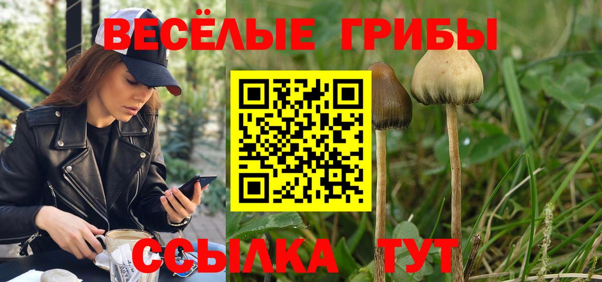 Галлюциногенные грибы GOLDEN TEACHER  Вход с VPN  Фурманов 
